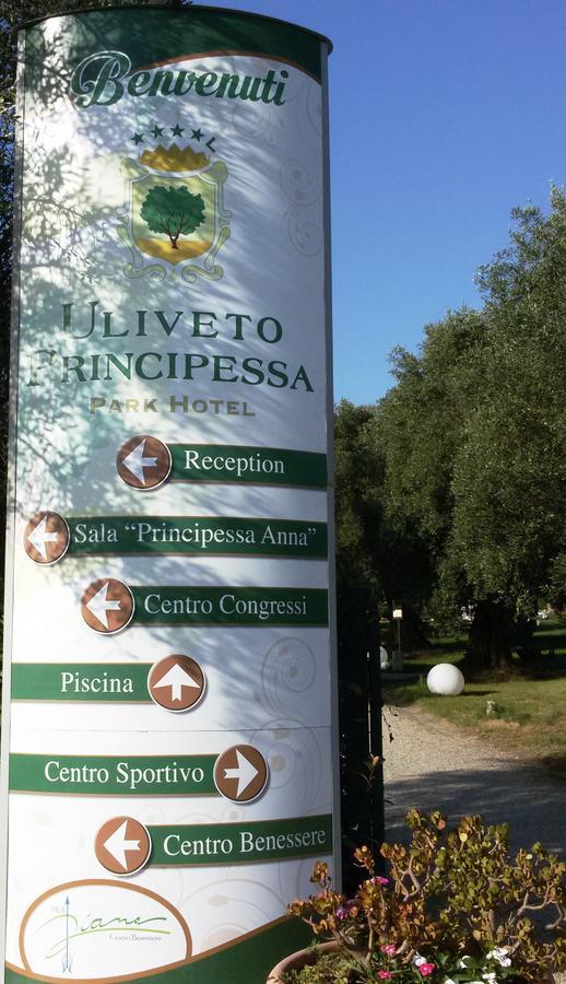 Uliveto Principessa Park Hotel Taurianova Eksteriør billede